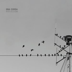 Kenny Schick Producer