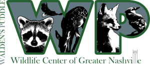 Wordpress-Home-newlogo-no-s