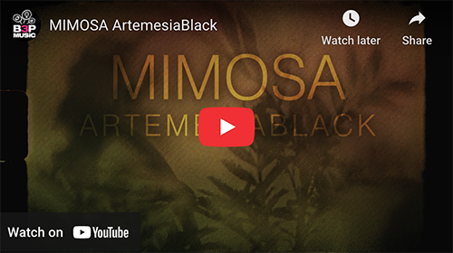 Mimosa by ArtemesiaBlack