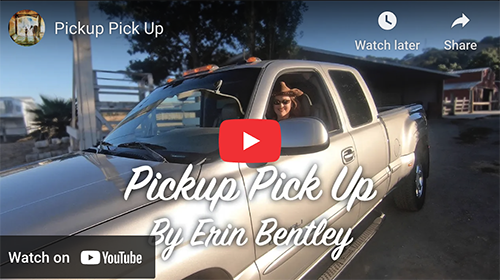 Pickup Pick Up by Erin Bentley